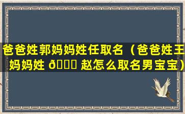 爸爸姓郭妈妈姓任取名（爸爸姓王妈妈姓 🐞 赵怎么取名男宝宝）